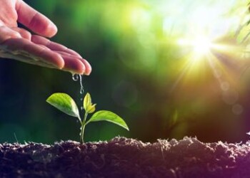 Sostenibilità: Syngenta spinge su innovazione  