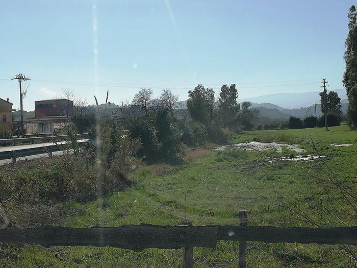 Sversamento illecito acque maleodoranti ,una denuncia