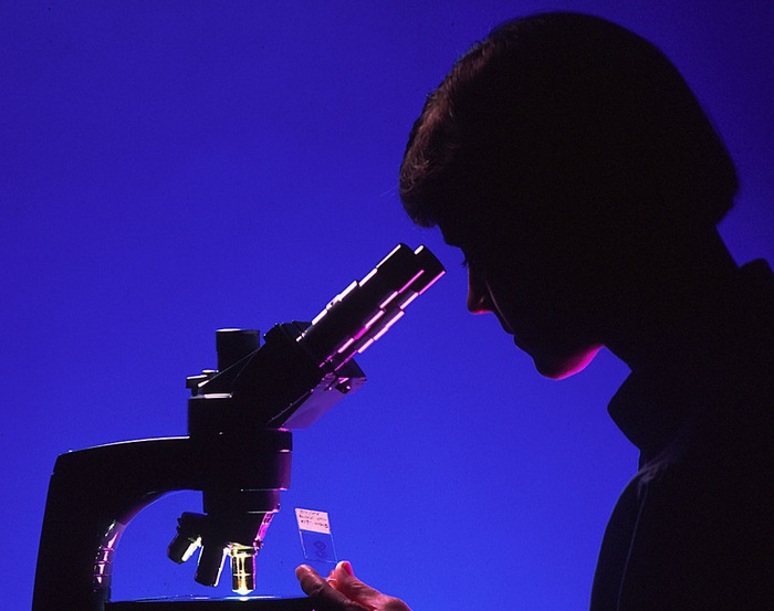 Un registro mondiale per far uscire le ricercatrici dall’ombra