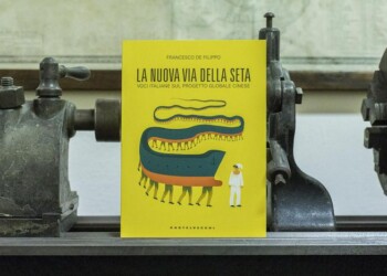 Via Seta: D’Agostino, no rischi per Trieste se idee chiare