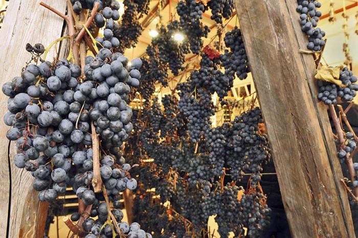 Vinitaly: Marche festeggiano 50 anni Doc Bianchello Metauro