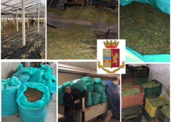 770 kg marijuana, 4 arresti nel ragusano