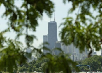 Alberi di città ‘spericolati’, crescono e muoiono in fretta