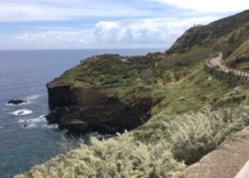 Ambiente: a Ustica nasce AilantoPark, prima eco-discoteca