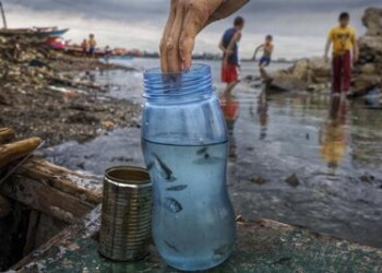 Ambiente: il Porto Antico di Genova diventa ‘plastic free’
 