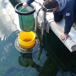 Ambiente: 'Seabin', cestini del mare che raccolgono 500 kg di rifiuti l'anno