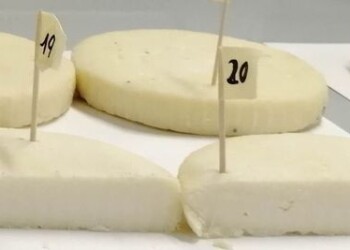 Batteri antistress scoperti nei formaggi trentini