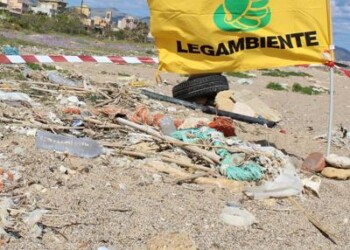 Beach Litter, 10 rifiuti ogni metro di spiaggia
 