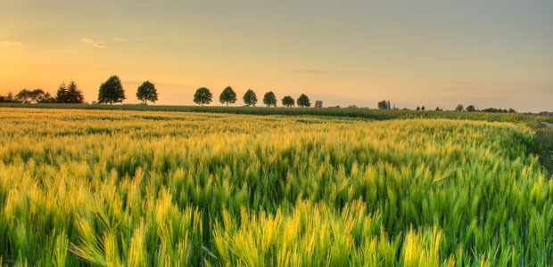 Ambiente: Hunter Lovins, passare ad agricoltura generativa