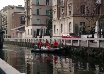 Cade nel Naviglio a Milano, recuperato