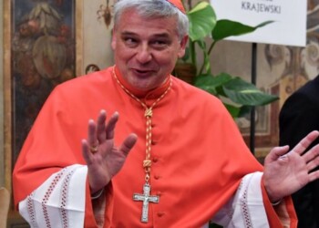 Cardinale Krajewski: “pago io, non c’è problema, se Salvini vuole pago anche le sue di bollette”