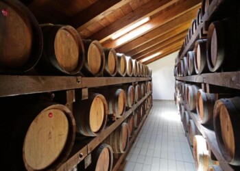 Consorzio Aceto balsamico di Modena Igp, Grosoli presidente