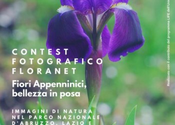 Contest fotografico per fiori Pnalm