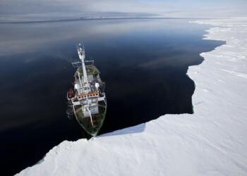 Docente Univpm in docufilm Di Caprio