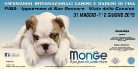 Expo Internazionale Cinofila a Pisa