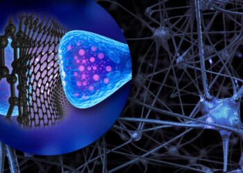‘Fiocchi’ di grafene controllano l’attività del cervello