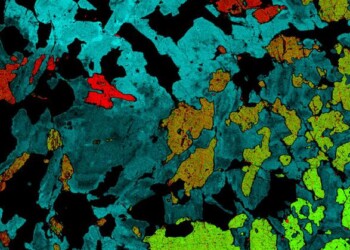 Il mantello terrestre come un quadro di Pollock