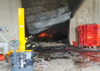 Incendio mattatoio, 20 vvf al lavoro