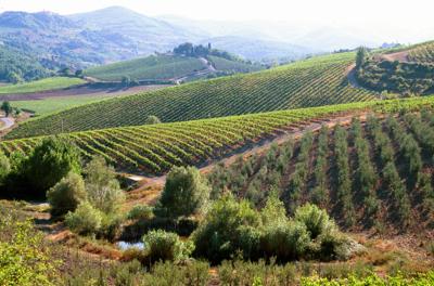 L'agricoltura si fa smart