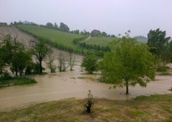 Maltempo in Emilia-Romagna, allerta per temporali e vento