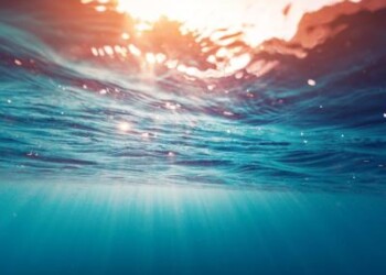 Mare, in 10 mesi raccolte 14 t di rifiuti in Adri 