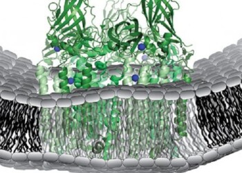 Nei batteri mangia-metano il segreto dei carburanti del futuro