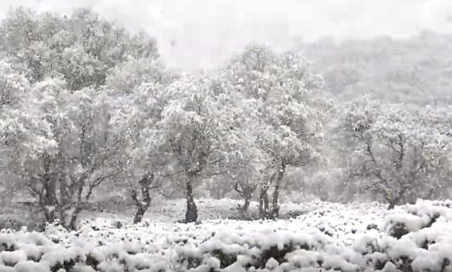 immagine 1 articolo neve in scozia fino in collina freddo meteo di maggio