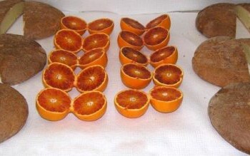 Pane con fibra di agrumi:per migliorare il profilo nutrizionale