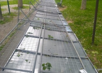 Pannelli finiscono sopra ragazza, illesa