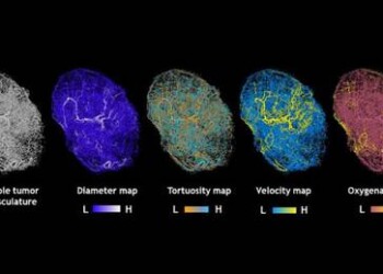 Pronta la Google Maps dei tumori