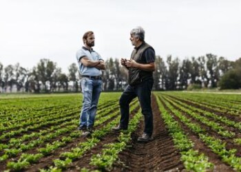 Sostenibilità: biodiversità, anche i surgelati possono difenderla  
