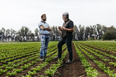 Biodiversità, si difende anche dal campo al freezer