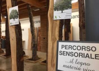 Una filiera virtuosa per il recupero del legno post-Vaia
 