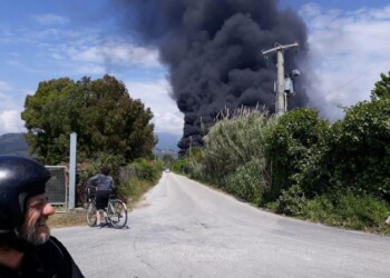 Viareggio,incendio in rimessaggio barche
