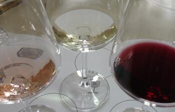 Vino: Assovini, per la Sicilia 2018 annata dell’equilibrio
 