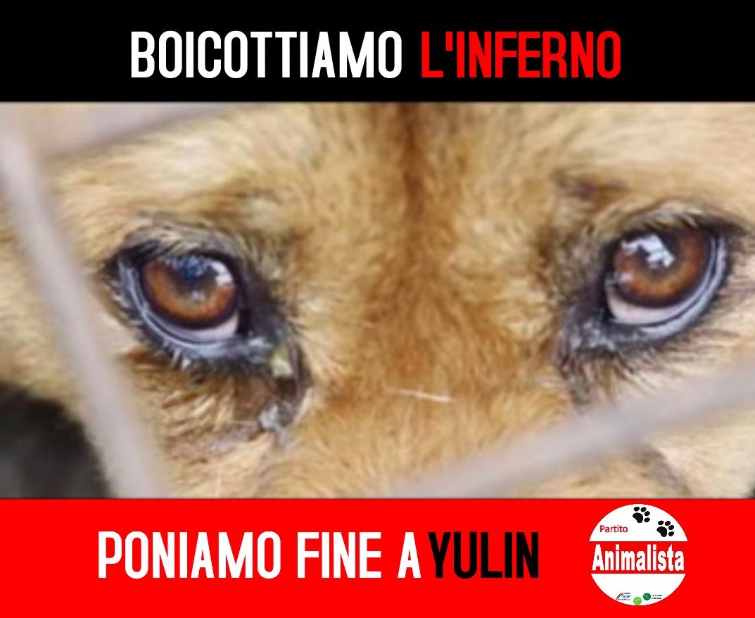Festival di Yulin in Cina, il Partito Animalista Italiano dalla mezzanotte annuncia il Boicottaggio degli Animalisti ai Prodotti Cinesi.
