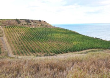 A Menfi torna Inycon, protagoniste le contrade