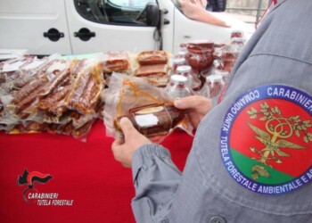 Alimenti senza etichetta, sequestrati