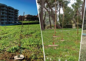 Ambiente: con Mosaico Verde oltre 233mila alberi saranno piantati  