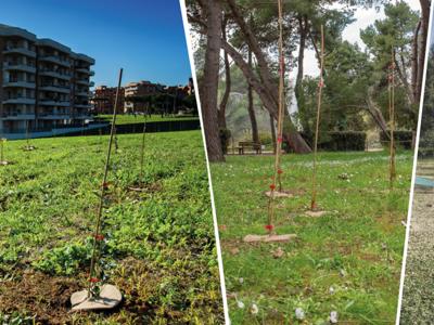 Con Mosaico Verde oltre 233mila alberi saranno piantati