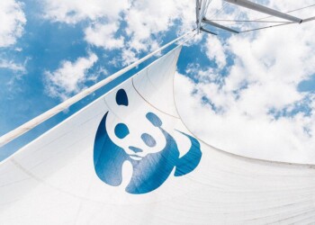 Arriva Blue panda la vela WWF amica del mare