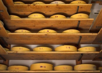 BuyFood, vetrina gusto toscano a Siena