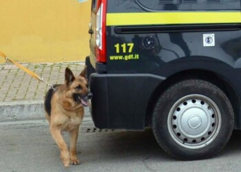 Cocaina e hascisc: donna ai domiciliari