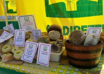 Coldiretti celebra giornata latte, mille aziende in Fvg