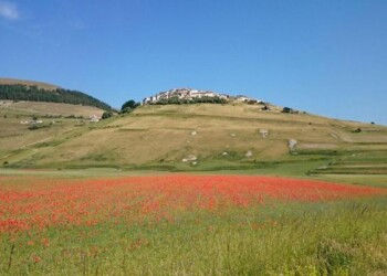 Donati macchinari a aziende Castelluccio