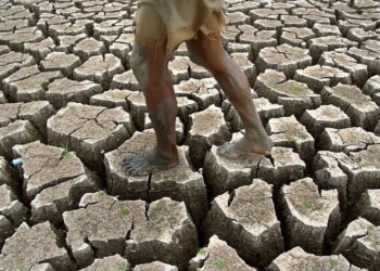 Giornata mondiale della desertificazione, anche l’Italia colpita