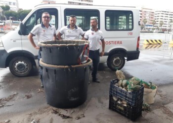 Guardia Costiera sequestra pesce e reti