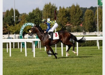 Ippica:Oaks d’Italia, trionfo di Lamaire