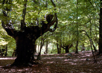 La Riserva del Borsacchio come non l’avete mai vista