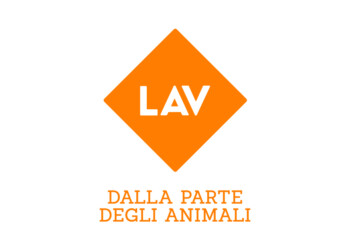 Siena, oggi udienza finale processo a 3 fantini e 1 veterinario. LAV chiede confisca obbligatoria cavalli e massima severità verso responsabilità penali accertate.